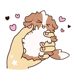 てのひらコリー