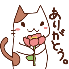 片ひげにゃんこの日常会話