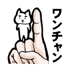 ねこさん。[大学生]