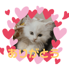 ミヌエットぶんちゃんスタンプ