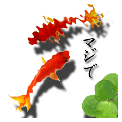 スマホの水面に住む金魚。