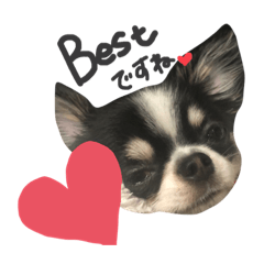 いつ使うのモカ吉