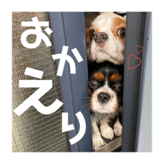 クッキーとこまめのスタンプ