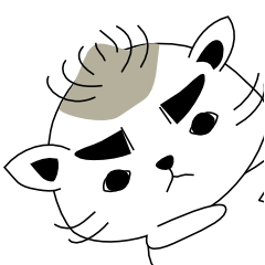 子猫のコトラッチ。