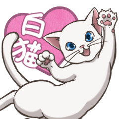 白ねこが好き