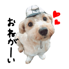 うちのゆーくん♥