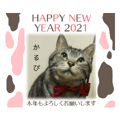 かるびのお正月