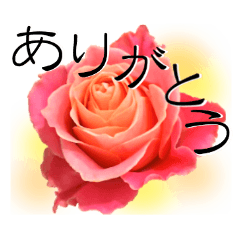 感謝の気持ちに花を添えて♪