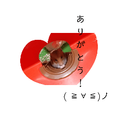 くまたろうの毎日