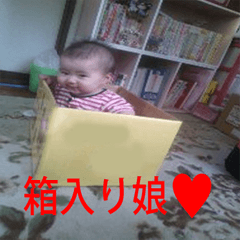 我が家の箱入り娘