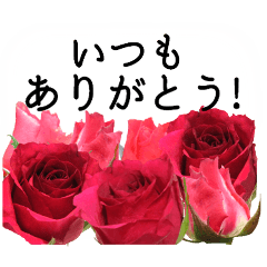 感謝の気持ちに花を♪バラ