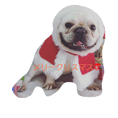 チャイと一緒に