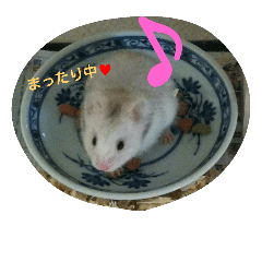 可愛い動物たちのキモチ