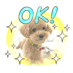 Seven_20210408212457