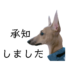 イタグレなスタンプ