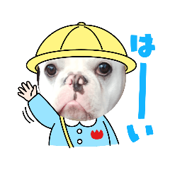 フレブルぐーのおもしろスタンプ