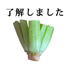 ほうれん草　根元　と　敬語