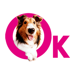 [写真] 愛犬シェリー