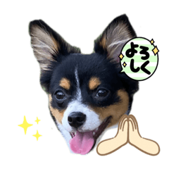 ボニータのスタンプ②