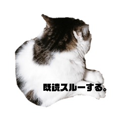 ねこやまねこじろう。