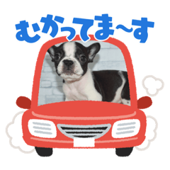 ふれぶるのはなちゃん②