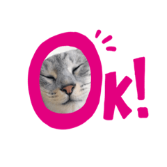 はなはな♡♡スタンプ♪