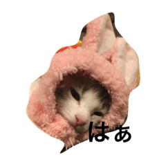 カイさん&りゅうさん&ヒナ