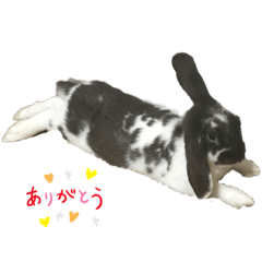 リク君の日常メッセージ