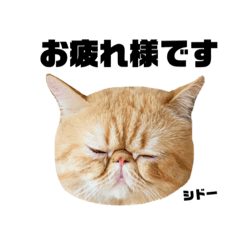 エキゾのシドーさん（改）