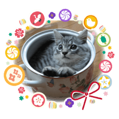 わがままにゃんこ〜ミル編