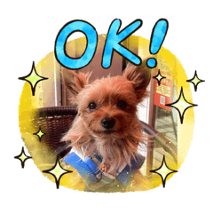 ヨーキー（パクチー）のスタンプ