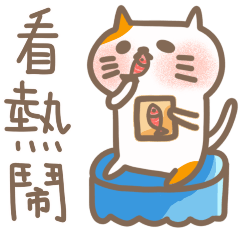 Doudou Cat Cat -Watch the fun together