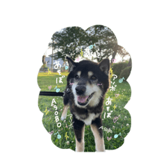 あんどうももちゃん