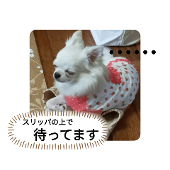 さくさんたろう