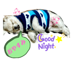 お礼と挨拶のワンコにゃんこスタンプ