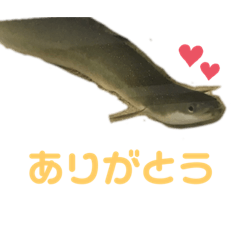 うなくんとつの丸のスタンプ