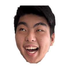 リアル顔文字　リピトサバージョン1