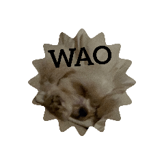 結構役立つ？！可愛い犬集