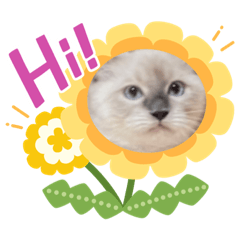 Phantom cute boy