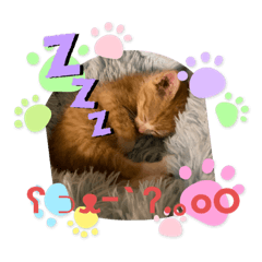 猫の呟きだもん