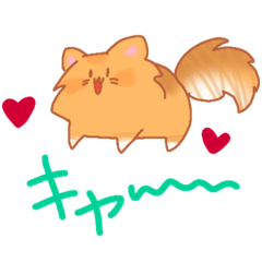 こねこのロッコちゃん❤︎