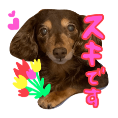 チョコっと一言 〜part2〜