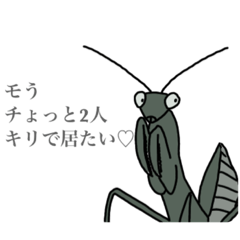 モチキリで持ちきり