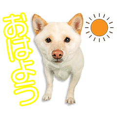 佐々田家の小士朗ちゃん 2