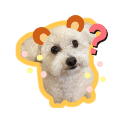 プリンくんなのだっ！☆1