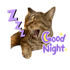 ウチネコ日記保護猫スタンプ第一弾