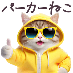 パーカーねこ ぽっちゃり サングラス 日常