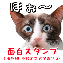 面白スタンプ(番外編/不動ネコ2文字あり）