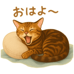 上目遣いな猫たち