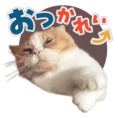 えびたのスタンプ2